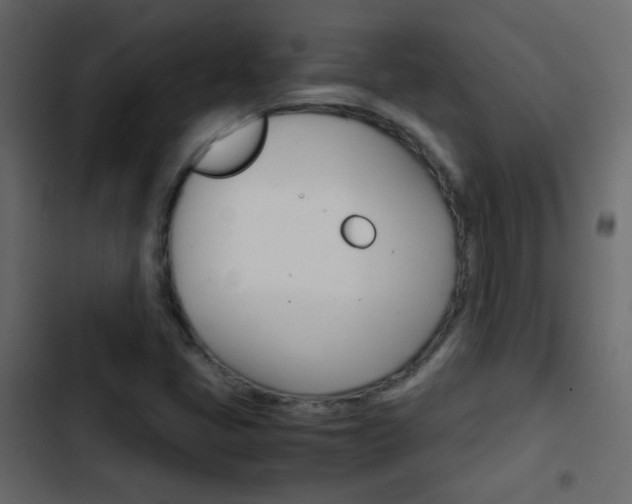 X0000103901405200809191044