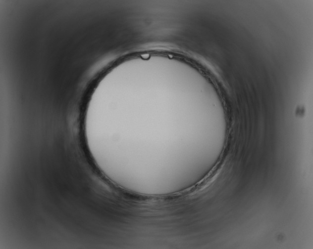 X0000103901406200809191044