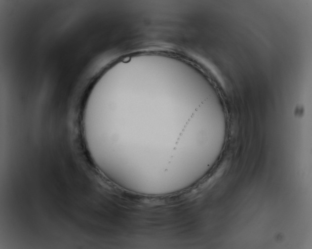 X0000103901407200809191044