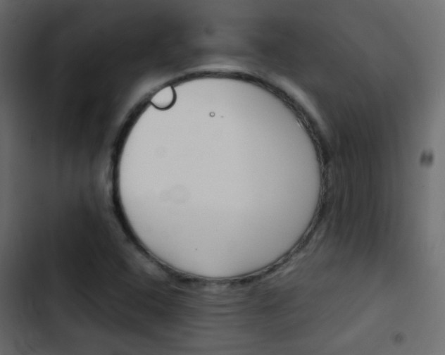X0000103901408200809191044