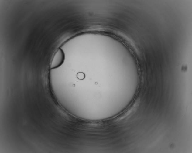 X0000103901409200809191044
