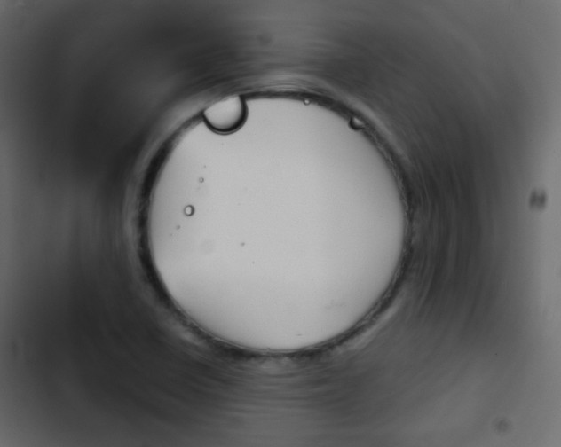 X0000103901410200809191044