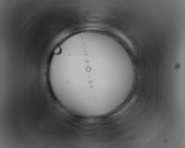 X0000103901411200809191044