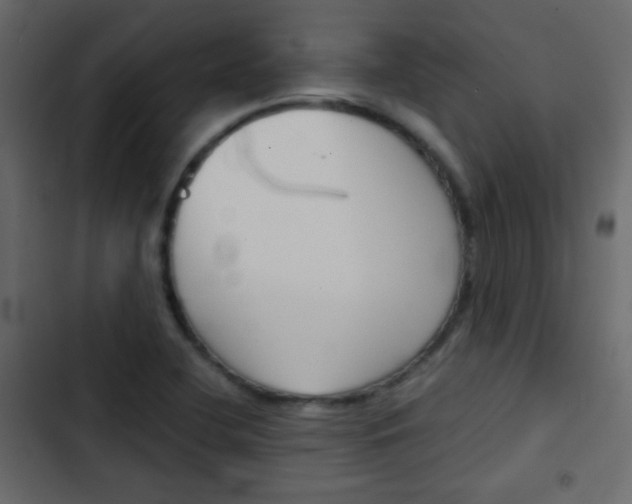 X0000103901412200809191044