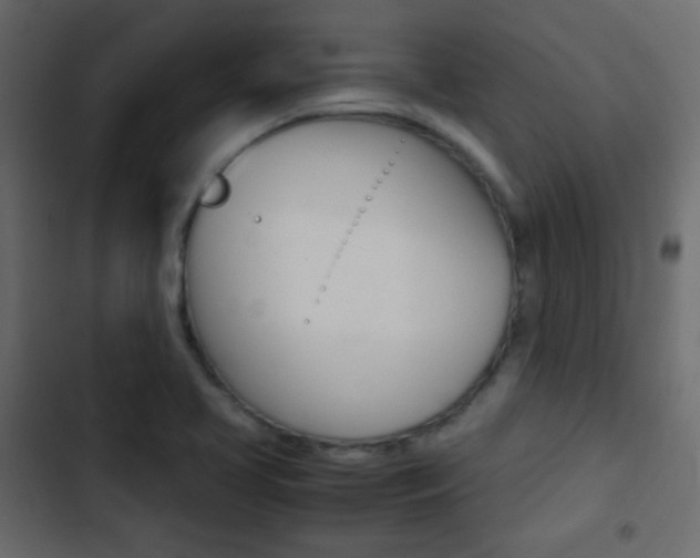 X0000103901413200809191044