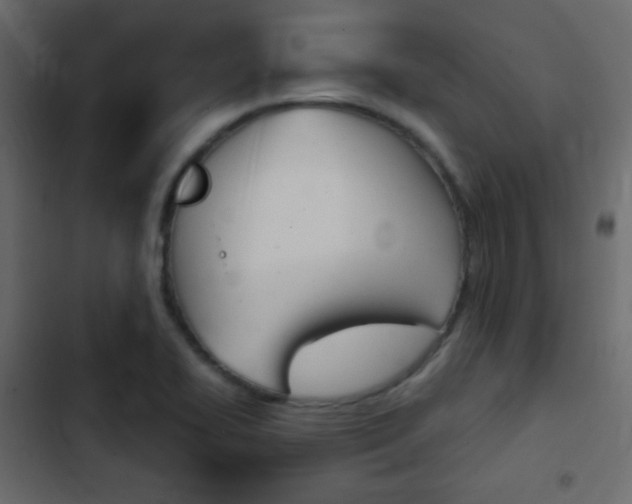 X0000103901414200809191044