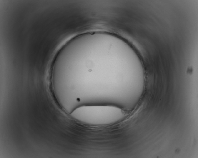 X0000103901415200809191045