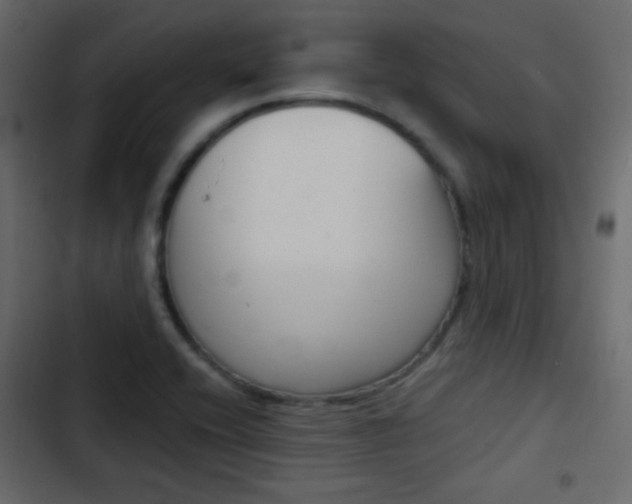 X0000103901416200809191045