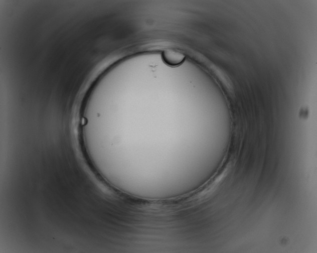 X0000103901418200809191045