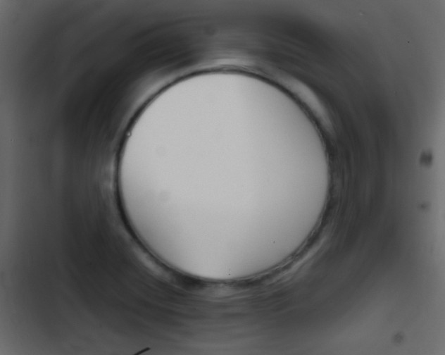 X0000103901420200809191045