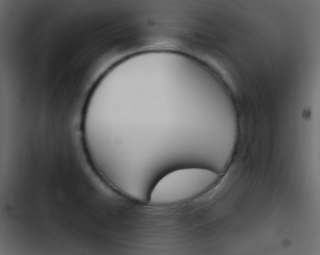 X0000103901422200809191045