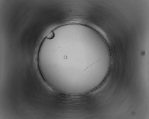 X0000103901423200809191045