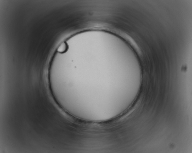X0000103901424200809191045