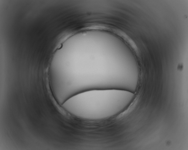 X0000103901425200809191045