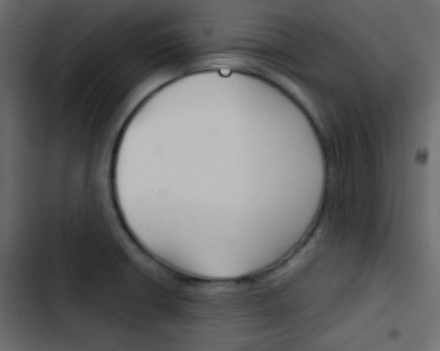 X0000103901426200809191045