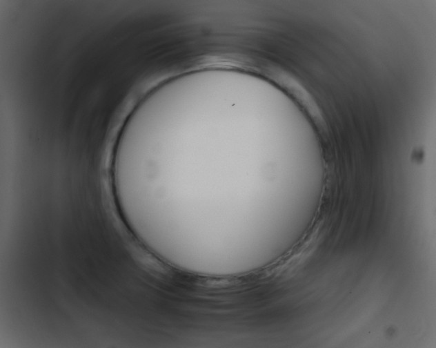 X0000103901427200809191045