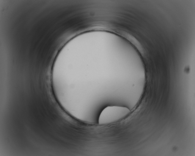 X0000103901428200809191045