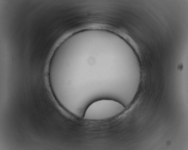 X0000103901429200809191045