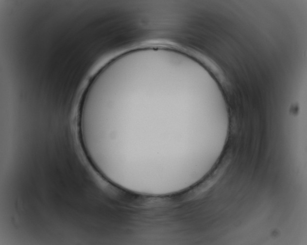 X0000103901430200809191045
