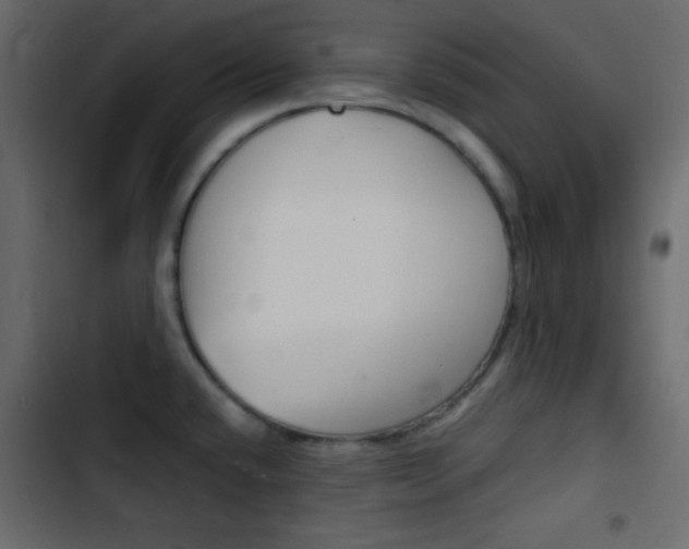 X0000103901432200809191045