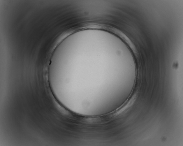 X0000103901433200809191045