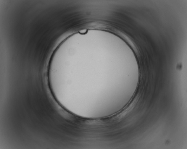 X0000103901434200809191045