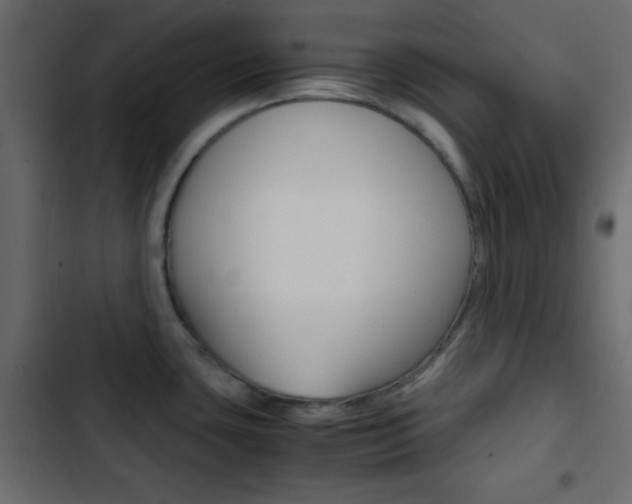 X0000103901435200809191045