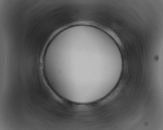 X0000103901436200809191045