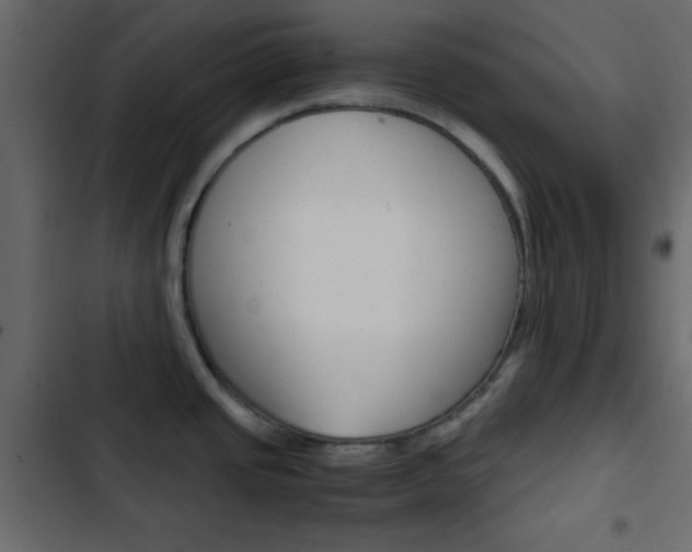 X0000103901437200809191045