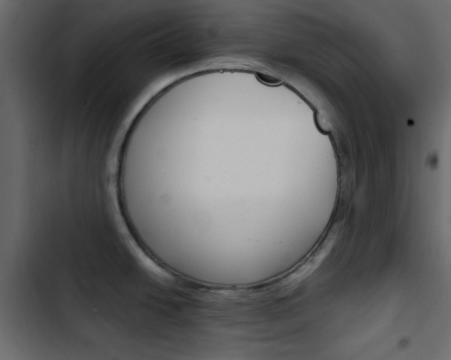 X0000103901438200809191045