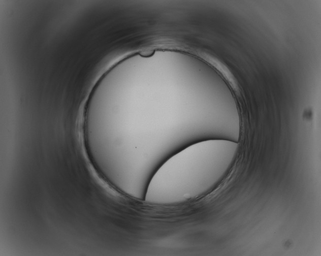 X0000103901439200809191045