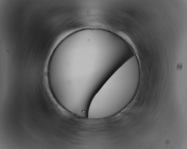 X0000103901440200809191045