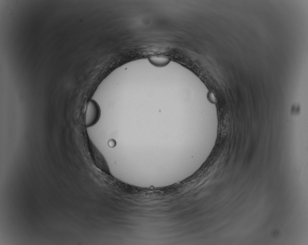 X0000103901441200809191044