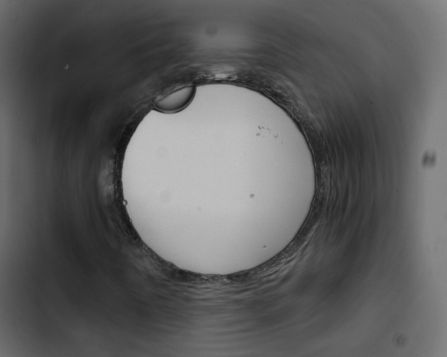 X0000103901442200809191044