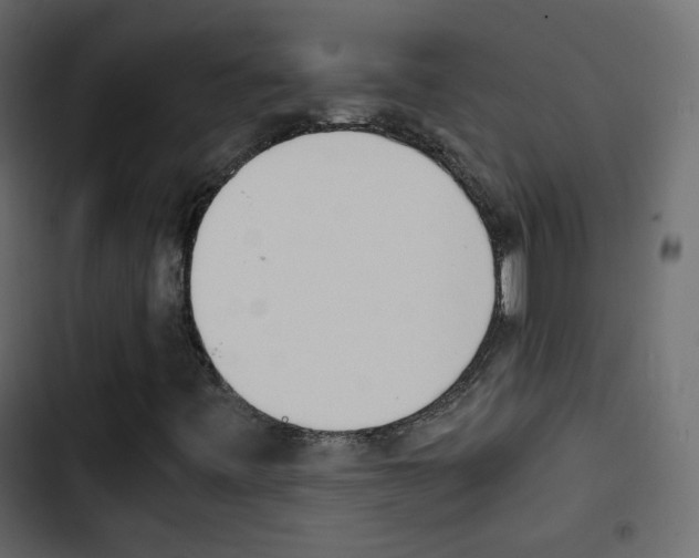 X0000103901443200809191044