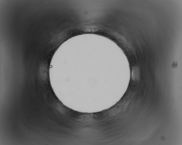 X0000103901444200809191044