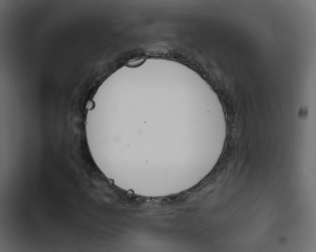 X0000103901445200809191044