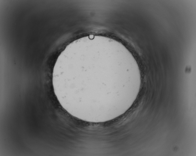 X0000103901447200809191044