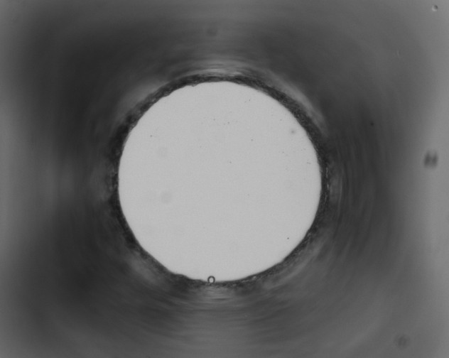 X0000103901448200809191044