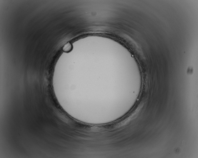 X0000103901449200809191044