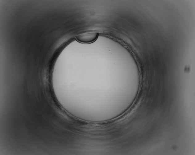 X0000103901450200809191044