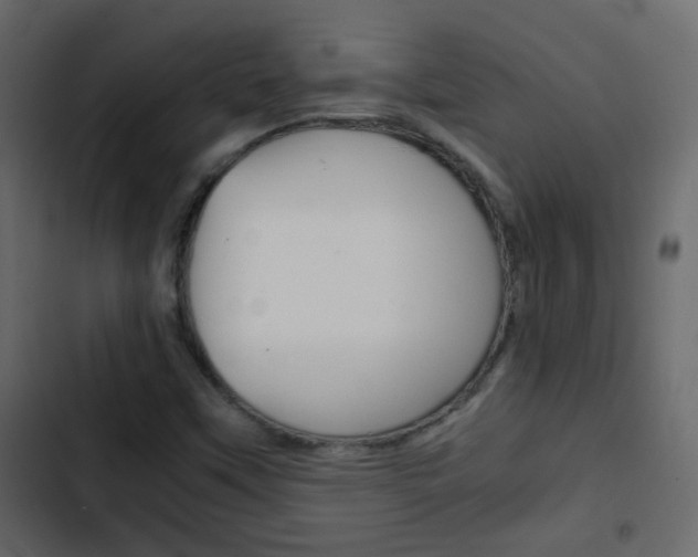 X0000103901451200809191044