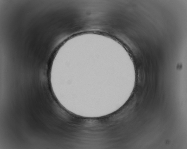 X0000103901452200809191044