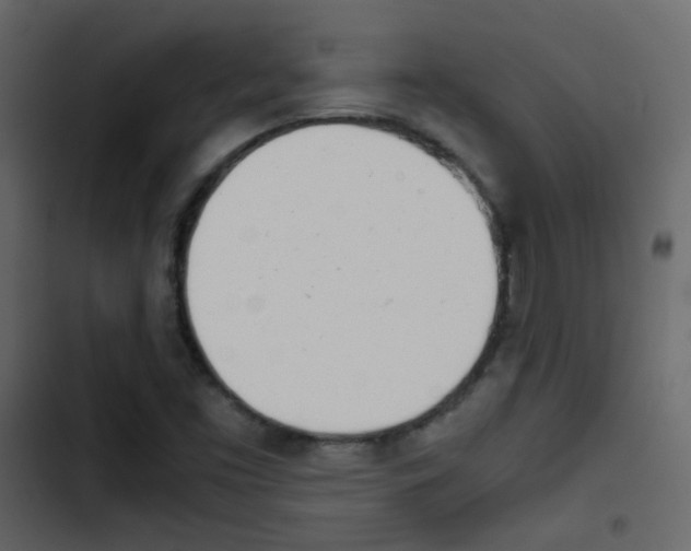 X0000103901453200809191044