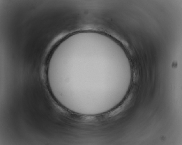 X0000103901454200809191044