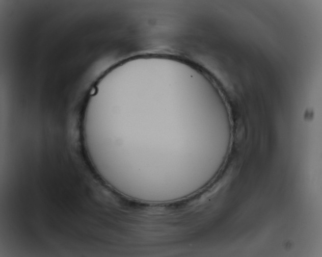 X0000103901455200809191044