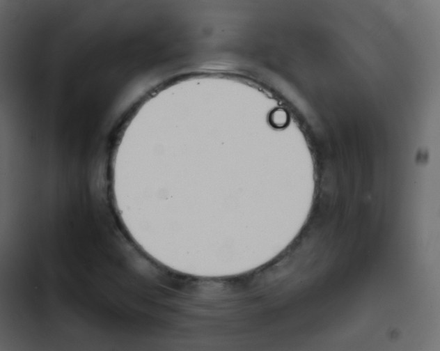 X0000103901456200809191044