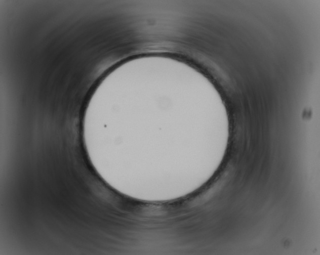 X0000103901457200809191044