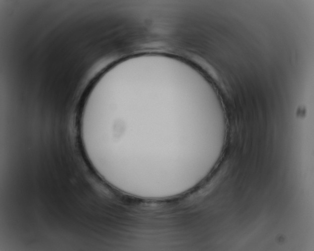 X0000103901458200809191044