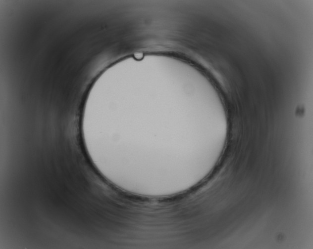X0000103901459200809191044